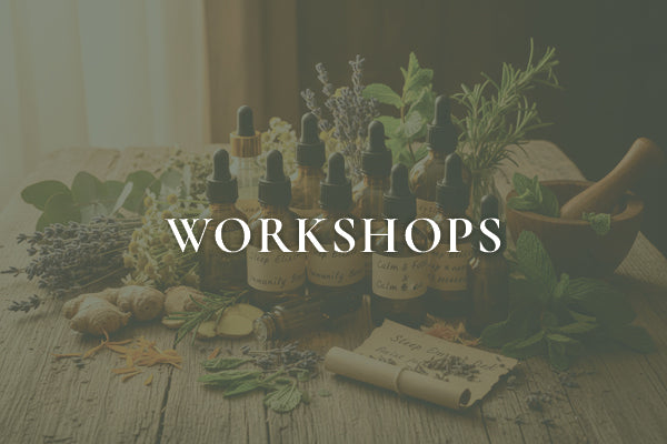 Workshop