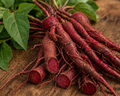 Red Root Organic