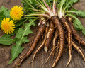 Dandelion Root Organic