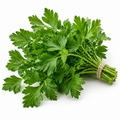 Parsley Leaf Organic