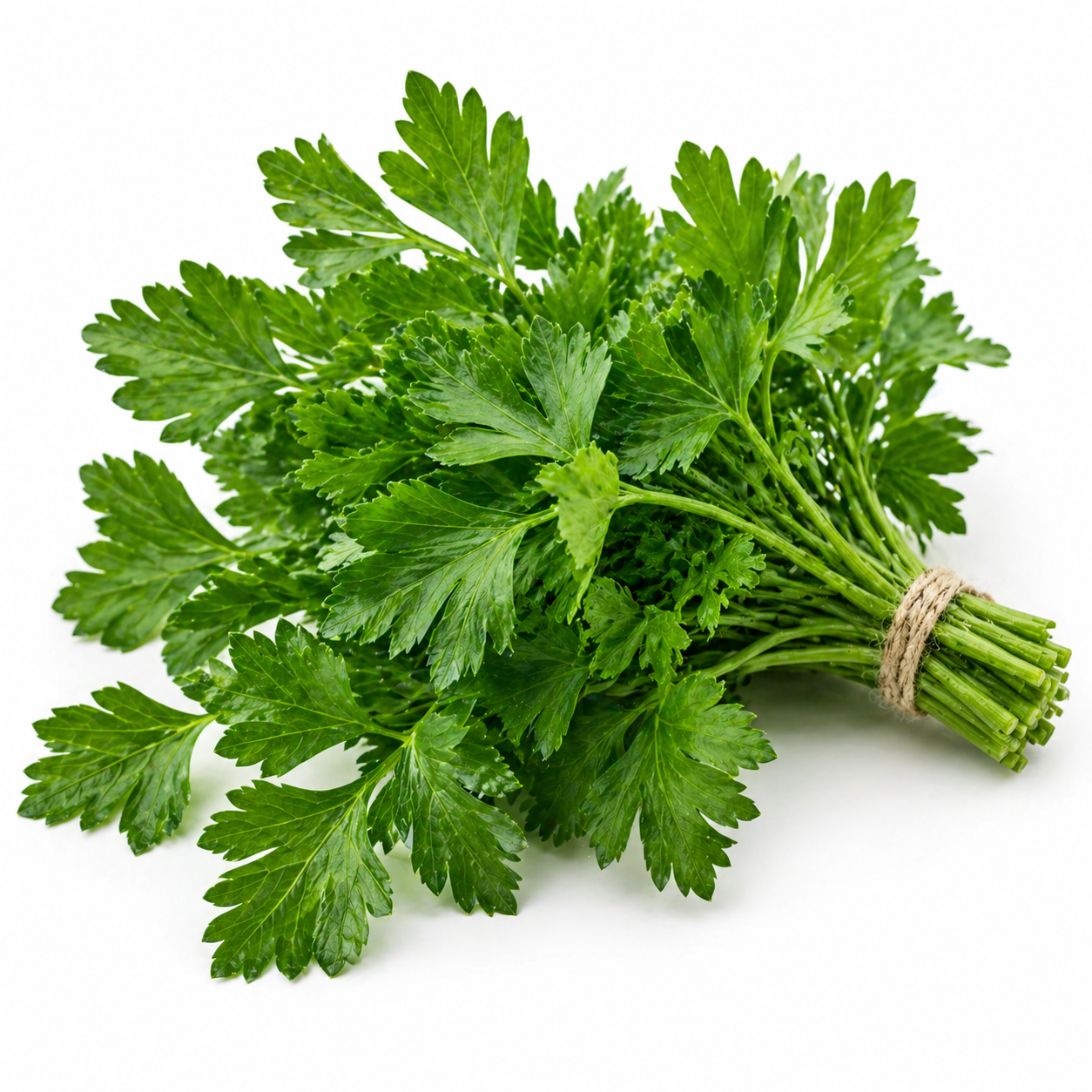Parsley Leaf Organic