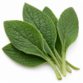 Comfrey Leaf Organic