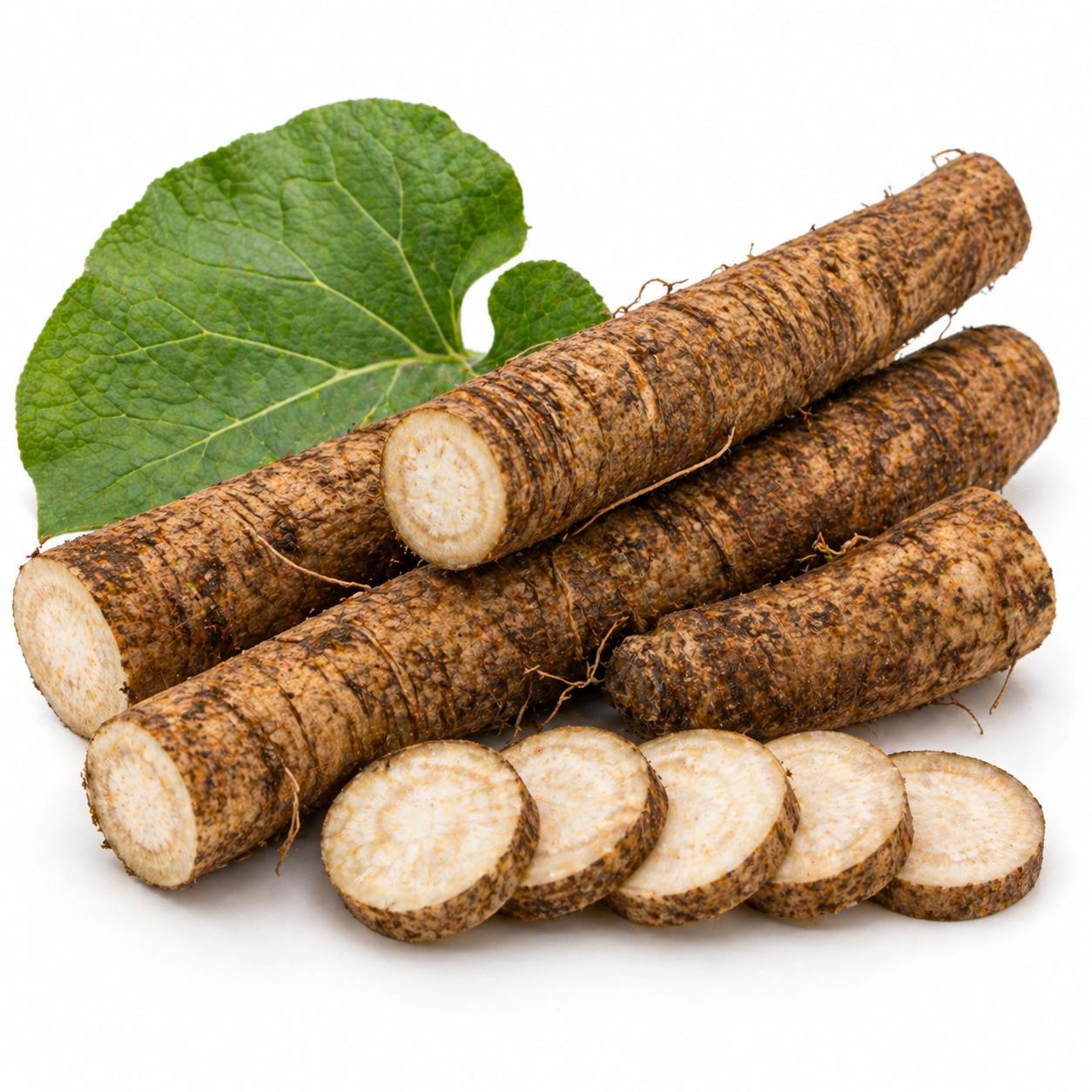 Burdock Root Organic