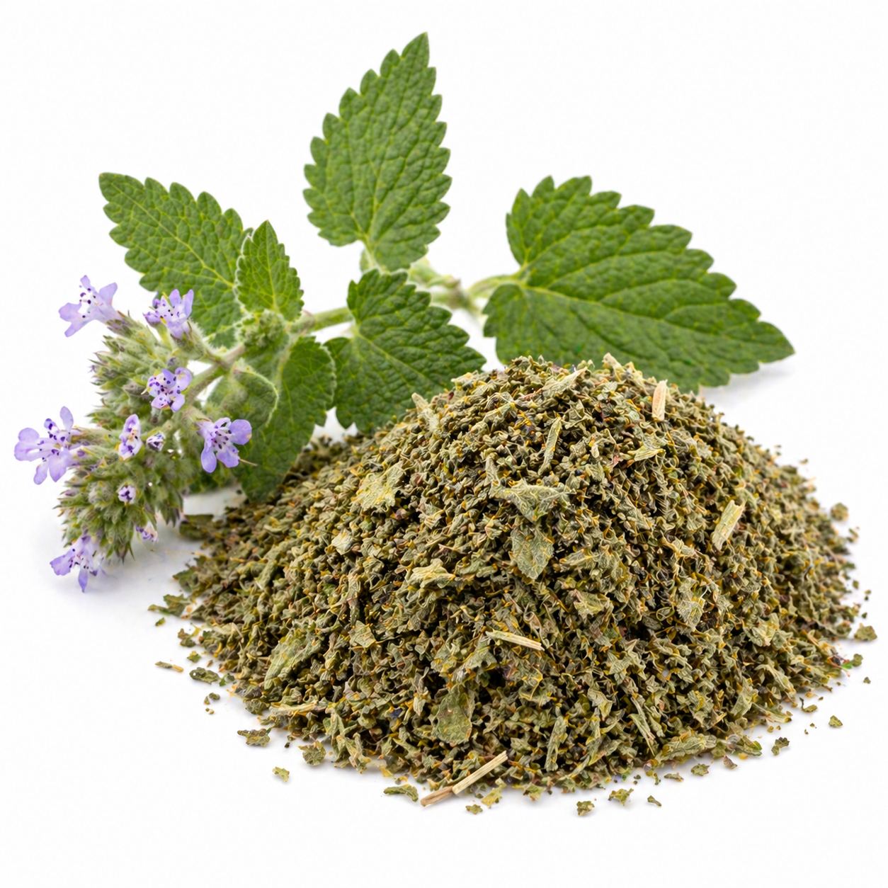 Catnip Organic