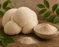 Lion's Mane Mushroom Powder Organic