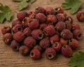 Hawthorn Berries Organic