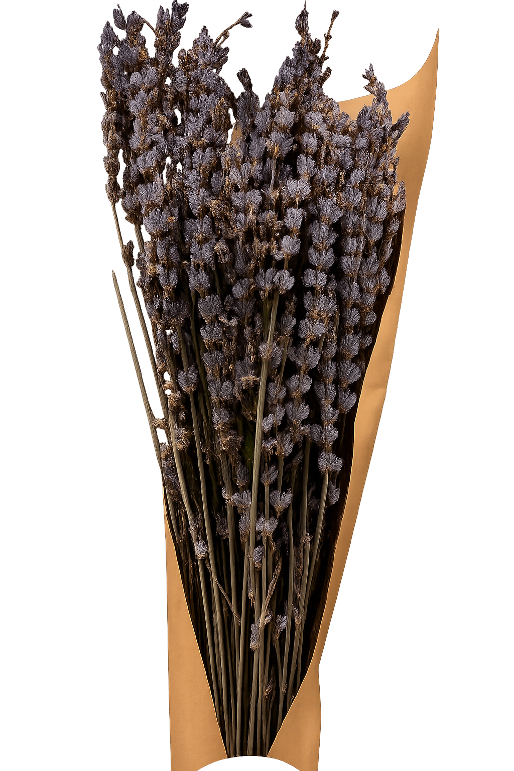 French Organic Lavender Bundle